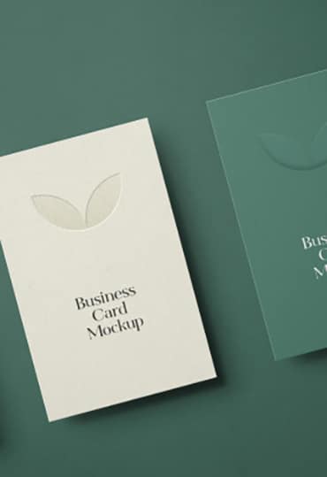 Plugin Customization